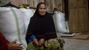 Ketulusan Indo Nari, Sando Pea dari Komunitas Adat Kaluppini