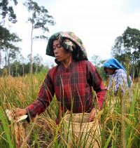Inisiatif Perempuan Adat Melestarikan Kekayaan Alam