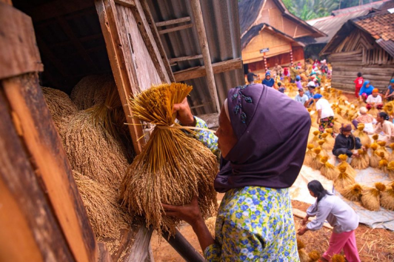Cerita Perempuan Adat Hadapi Pandemi